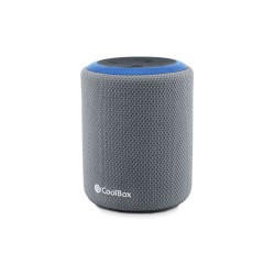 Tragbare Bluetooth-Lautsprecher CoolBox COO-BTA-G231 Grau