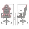 Gaming-Stuhl DRIFT DR110BGRAY Schwarz Grau