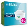 Reiniger Brita