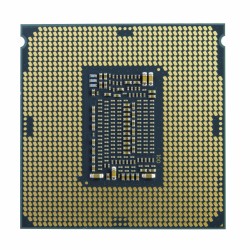 Prozessor Intel G5905