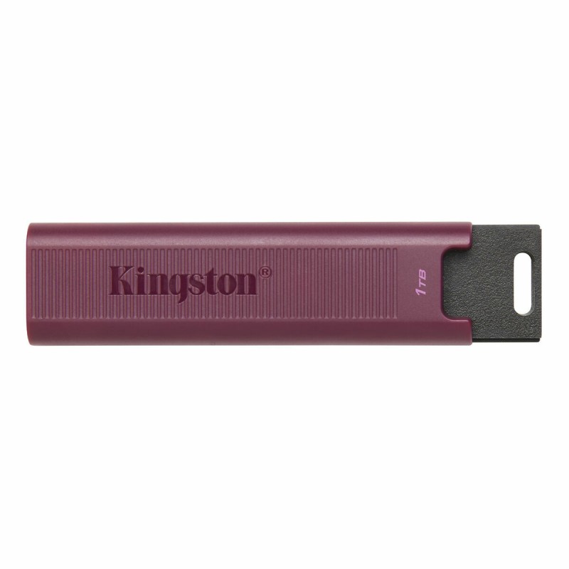 USB Pendrive Kingston Max Rot 1 TB (1 Stück)