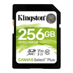 SD Speicherkarte Kingston SDS2 256 GB Schwarz