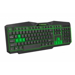 Tastatur Esperanza EGK201G Schwarz grün Schwarzweiß Schwarz/Grün Englisch QWERTY