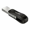 USB Pendrive SanDisk SDIX60N-256G-GN6NE Grau 256 GB