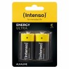Batterien INTENSO 7501432 (Art C)