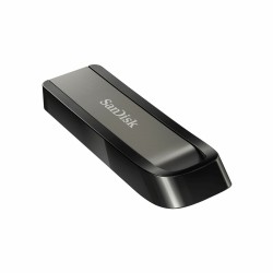 Pendrive SanDisk Extreme Go Stahl 256 GB (1 Stück)