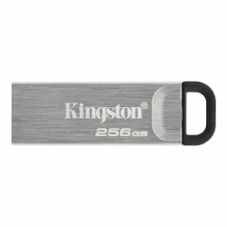 USB Pendrive Kingston DTKN/256GB USB 3.2 Silberfarben 256 GB