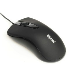 Mouse iggual IGG317648