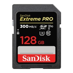 SDXC Speicherkarte SanDisk SDSDXDK-128G-GN4IN 128 GB SDXC UHS-II