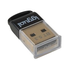 Hub USB iggual IGG319383