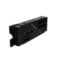 Festplatte Predator BL.9BWWR.123 2 TB SSD