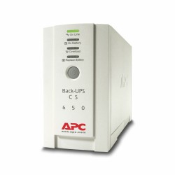 Unterbrechungsfreies Stromversorgungssystem Interaktiv USV APC BK650EI 400 W