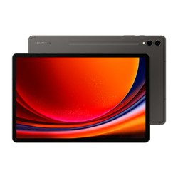 Tablet Samsung S9+ 256 GB Grau (MPN S7608104)