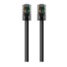 UTP starres Netzwerkkabel der Kategorie 6 Belkin RJ45-RJ45, Cat6, 2m Schwarz 2 m