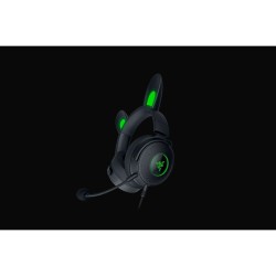 Kopfhörer mit Mikrofon Razer RZ04-04510100-R3M1