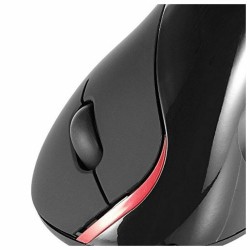 Ergonomische optische Maus Ewent EW3156 1000 dpi USB Schwarz