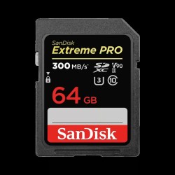 SDXC Speicherkarte SanDisk... (MPN M0309231)