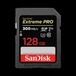 SDXC Speicherkarte SanDisk... (MPN M0309232)