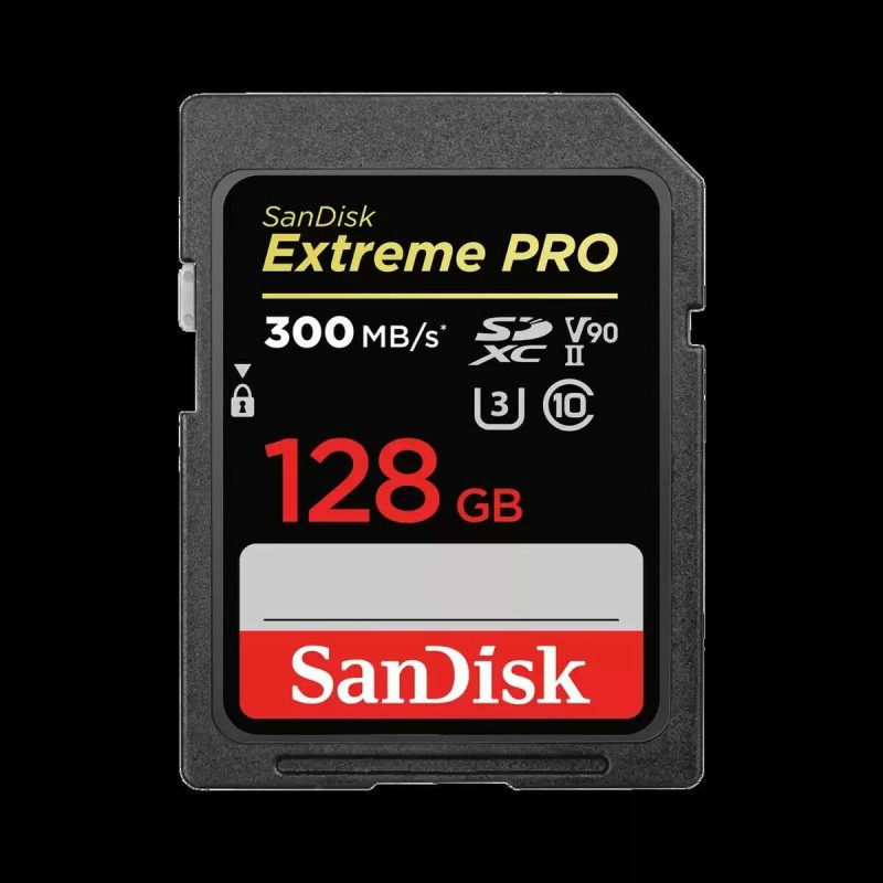 SDXC Speicherkarte SanDisk SDSDXDK-128G-GN4IN 128 GB SDXC UHS-II