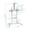 TV Halterung TooQ ZEUS 60-100"