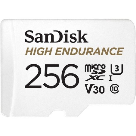 Micro SD-Karte SanDisk SDSQQNR-256G-GN6IA