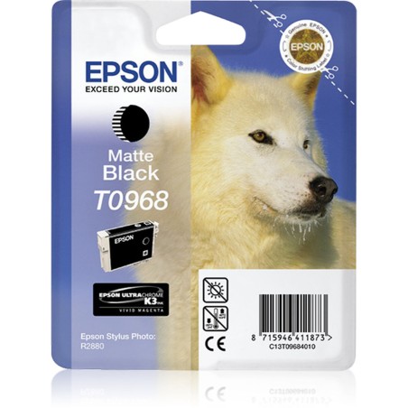 Original Tintenpatrone Epson R2880 Schwarz