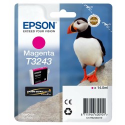 Original Tintenpatrone Epson C13T32434010 Türkis Magenta