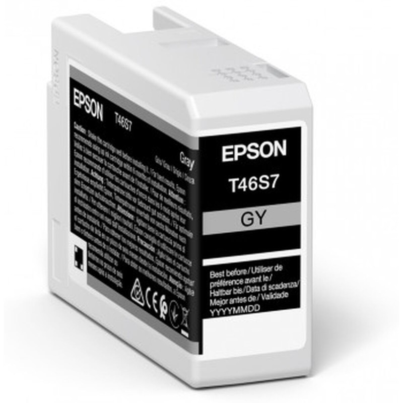 Original Tintenpatrone Epson UltraChrome Pro Schwarz Grau 25 ml