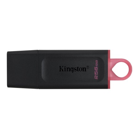 USB Pendrive Kingston Exodia Schwarz 256 GB (1 Stück)