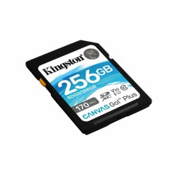 SD Speicherkarte Kingston SDG3/256GB 256GB 256 GB