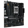 Motherboard Asus A620M-PLUS AMD A620 AMD AM5