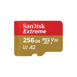 Micro SD-Karte SanDisk Extreme 256 GB